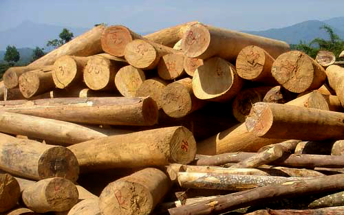 Ngừng tạm nhập, tái xuất gỗ từ Lào và Campuchia