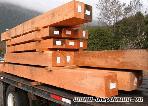 Bản tin về ngành hàng đồ gỗ trên thị trường hiện nay