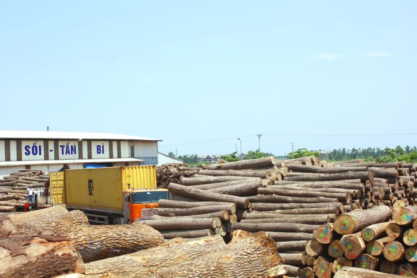 Gỗ Tự Nhiên